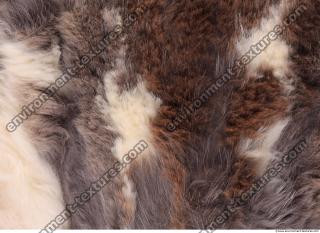 Photo Textures of Fur
